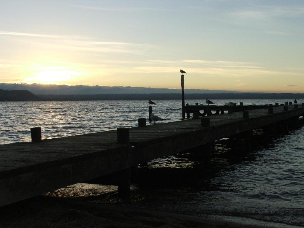 Cedarwood Lakeside Motel & Conference Venue Rotorua Exterior foto