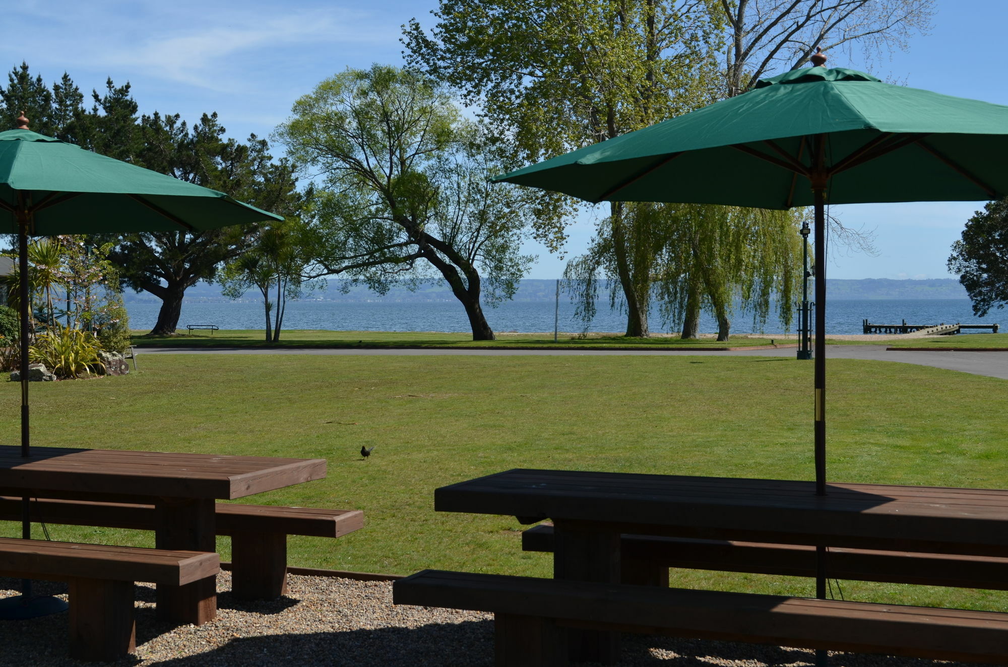 Cedarwood Lakeside Motel & Conference Venue Rotorua Exterior foto